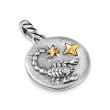 Scorpio Amulet in Sterling Silver with 18K Yellow Gold and Diamonds, 19mm