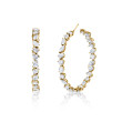 Mixed Shape Hoop Earring