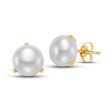 Freshwater Pearl Button Stud Earrings