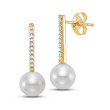 Classic Drop Earrings