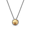 Petite Chatelaine® Necklace in Sterling Silver with 18K Yellow Gold Dome