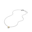 Petite Chatelaine® Necklace in Sterling Silver with 18K Yellow Gold Dome