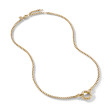 Cable Amulet Vehicle Box Chain Necklace in 18K Yellow Gold