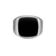 Exotic Stone Signet Ring in Sterling Silver with Black Onyx