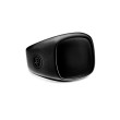 Exotic Stone Signet Ring in Black Titanium with Black Onyx