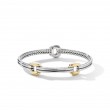 Thoroughbred® Double Link Bracelet with 18K Yellow Gold