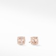Petite Chatelaine® Pave Bezel Stud Earrings in 18K Rose Gold with Morganite and Diamonds
